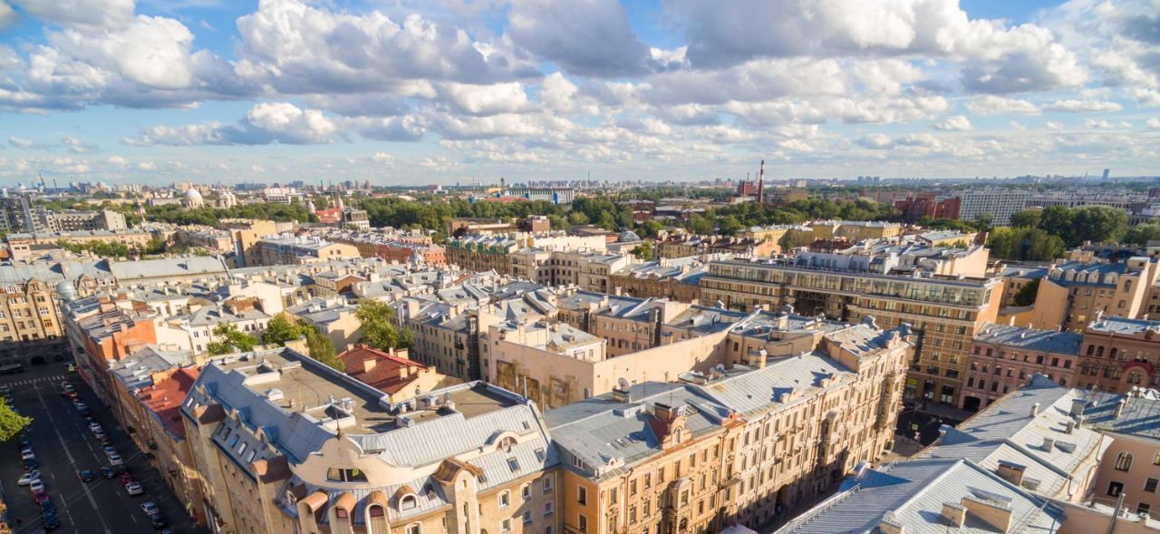 квартира г Санкт-Петербург метро Площадь Александра Невского пер Перекупной 3 фото 25