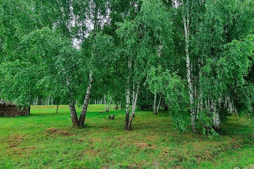 земля городской округ Одинцовский д Папушево фото 3