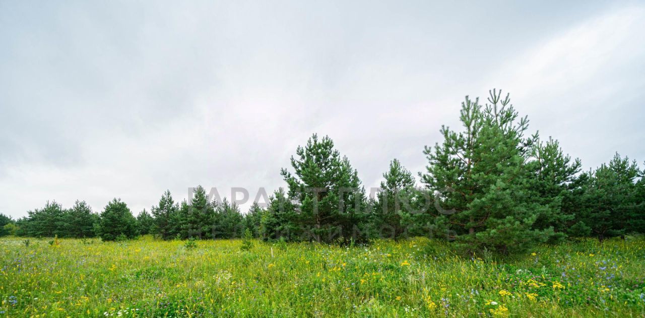 земля р-н Добровский с Кореневщино ул 5-я Дальняя 4 фото 16