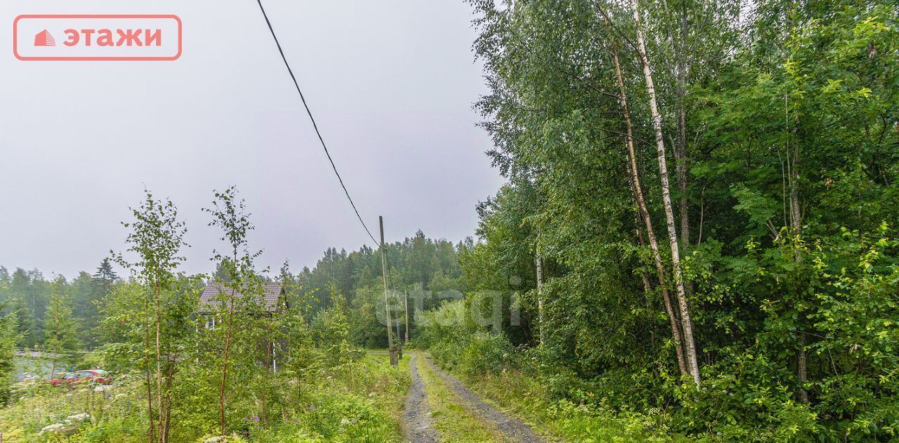 земля р-н Прионежский снт Урозеро Гарнизонное с/пос, ул. Рябиновая фото 7