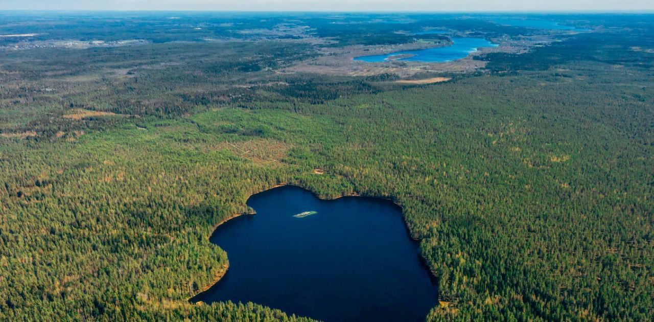 земля р-н Выборгский п Красная Долина Приморское городское поселение фото 8