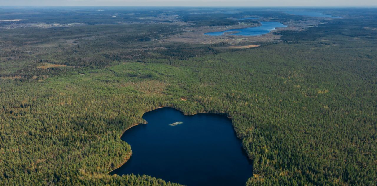 земля р-н Выборгский п Красная Долина Приморское городское поселение фото 26