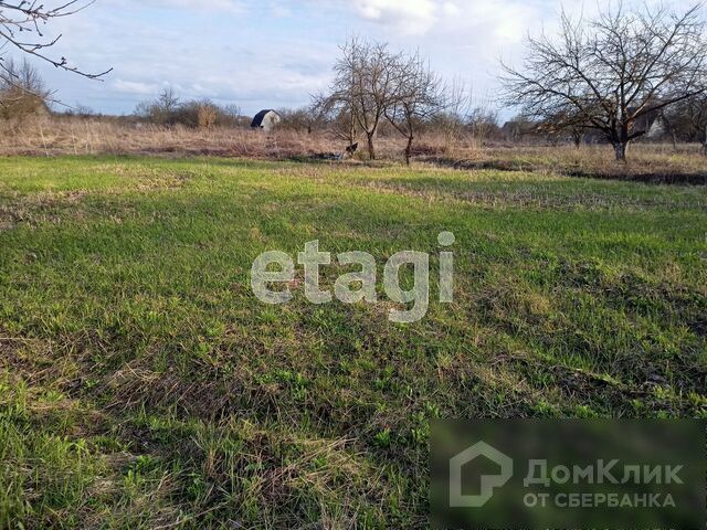 земля р-н Брянский п Мичуринский ул Выставочная фото 2