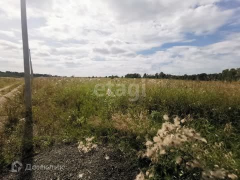 земля р-н Емельяновский фото 6