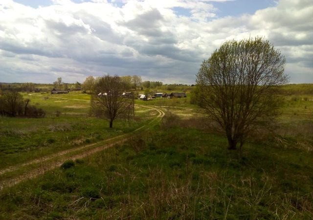 д Еловка Алексинское сельское поселение, Дорогобуж фото