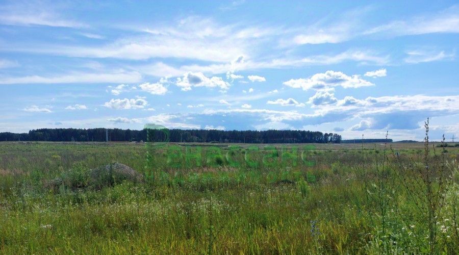 земля р-н Брянский д Дубровка р-н мкр Черемушки Новодарковичское с/пос фото 2