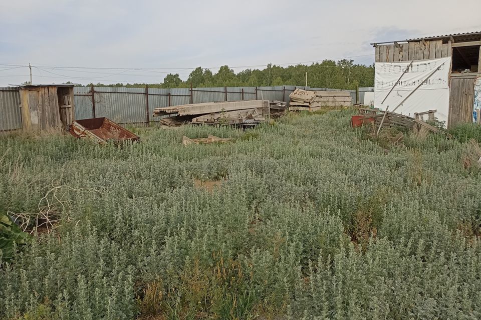 дом р-н Сосновский с Большое Баландино ул Чистопрудная фото 2