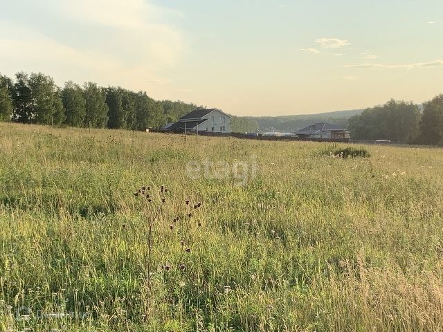 земля р-н Емельяновский п Элита ул Центральная фото 1