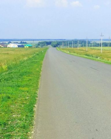 Державинское сельское поселение, Лаишево фото