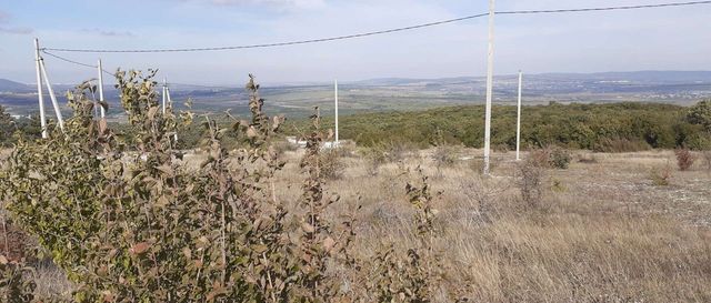 муниципальное образование Новороссийск, СОТ Моряк фото