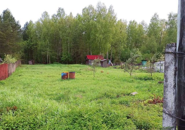 Апраксинское сельское поселение, садовое некоммерческое товарищество Холм, Кострома фото