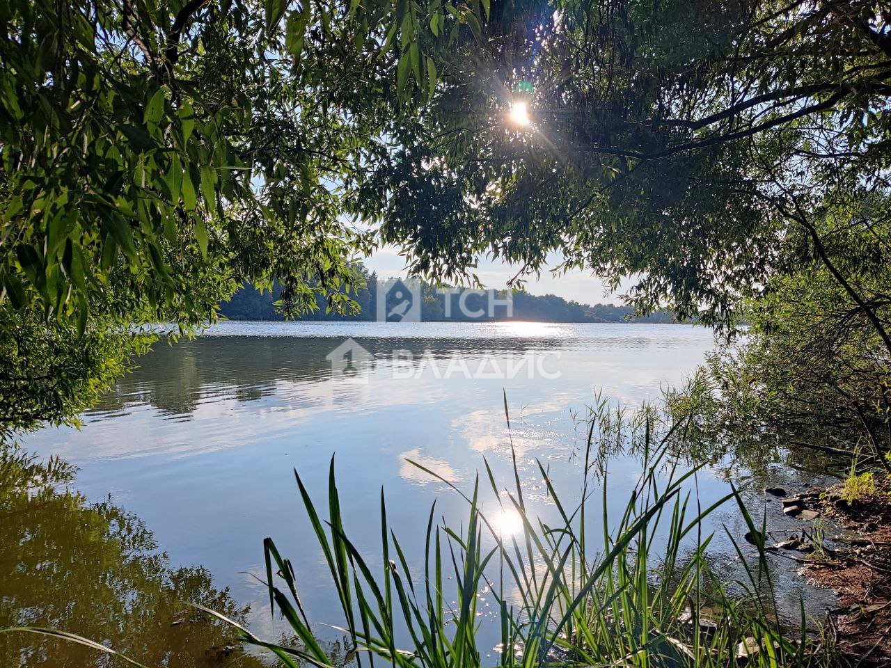 земля городской округ Богородский г Старая Купавна ул Октябрьская 42 фото 1