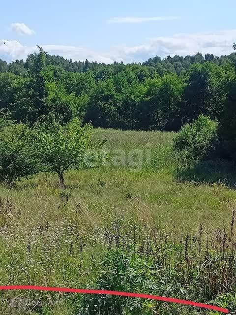 земля р-н Зеленоградский фото 2