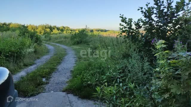 земля р-н Зеленоградский фото 2