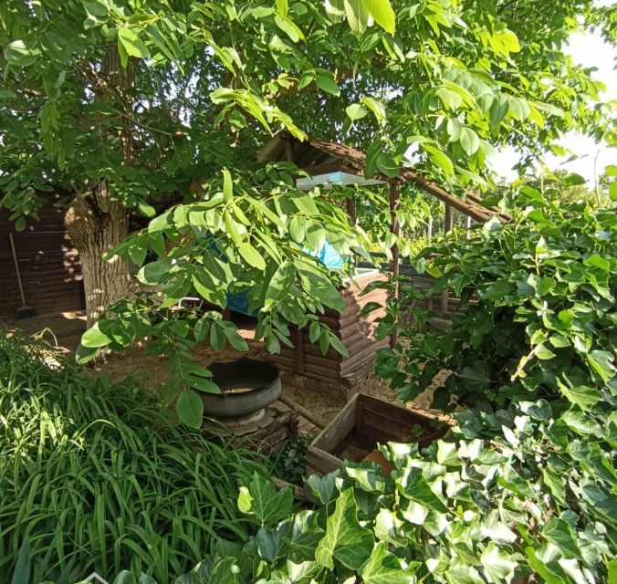 дом р-н Раздольненский с Орловка ул Ленина 18 фото 6