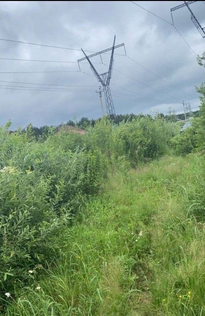 земля городской округ Наро-Фоминский г Апрелевка фото 1