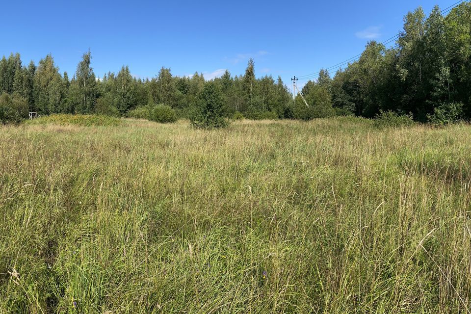 земля р-н Волховский д Загубье ул Луговая 2 фото 4