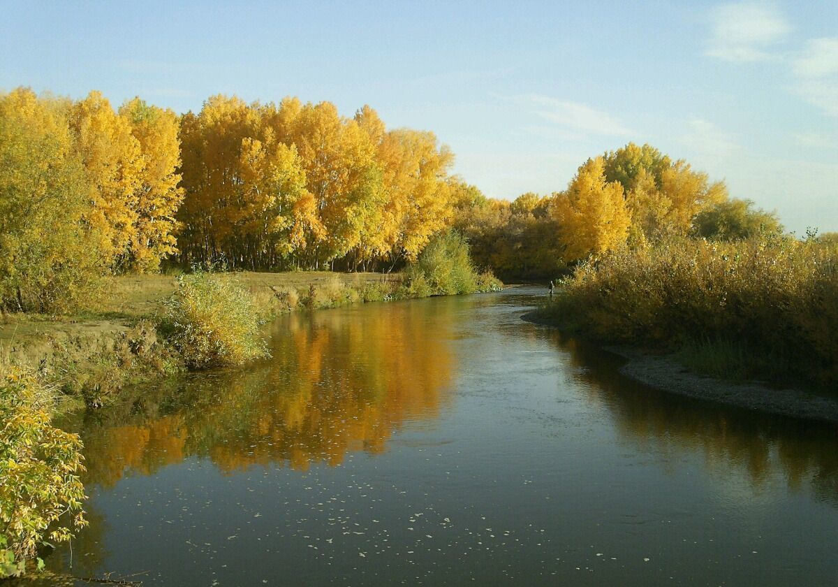 дом р-н Кизильский с Кизильское ул Уральная 62 фото 7