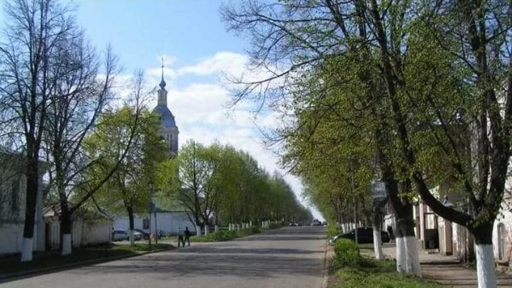 дом р-н Суздальский г Суздаль ул Луговая 16 ул Восточная фото 27