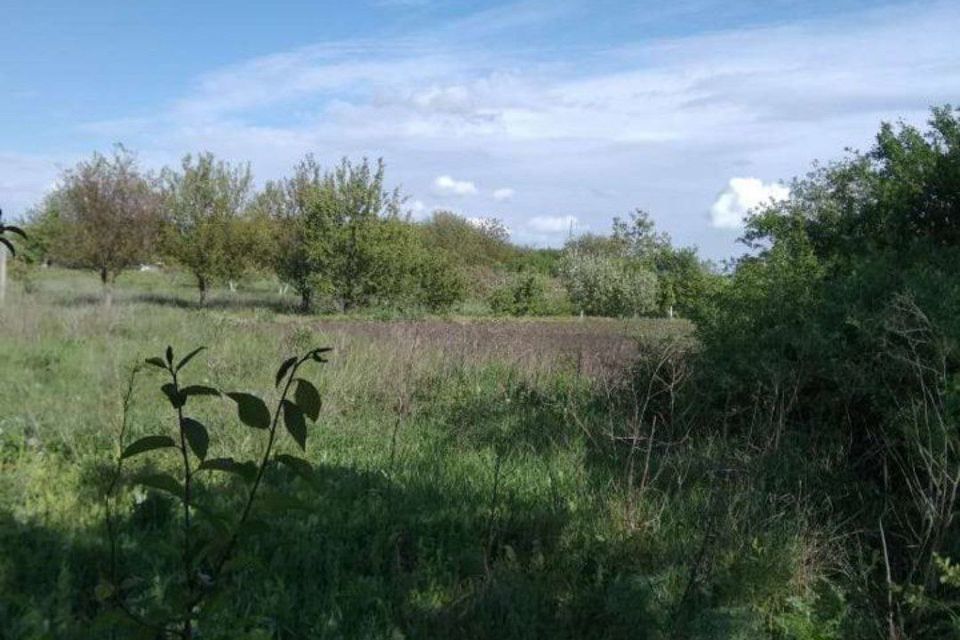 Село татарка шпаковский. Станица Саратовская Краснодарский лес. Земельный участок картинка. Краснодарский край станица Саратовская горячий ключ. Леса в станице Саратовской.