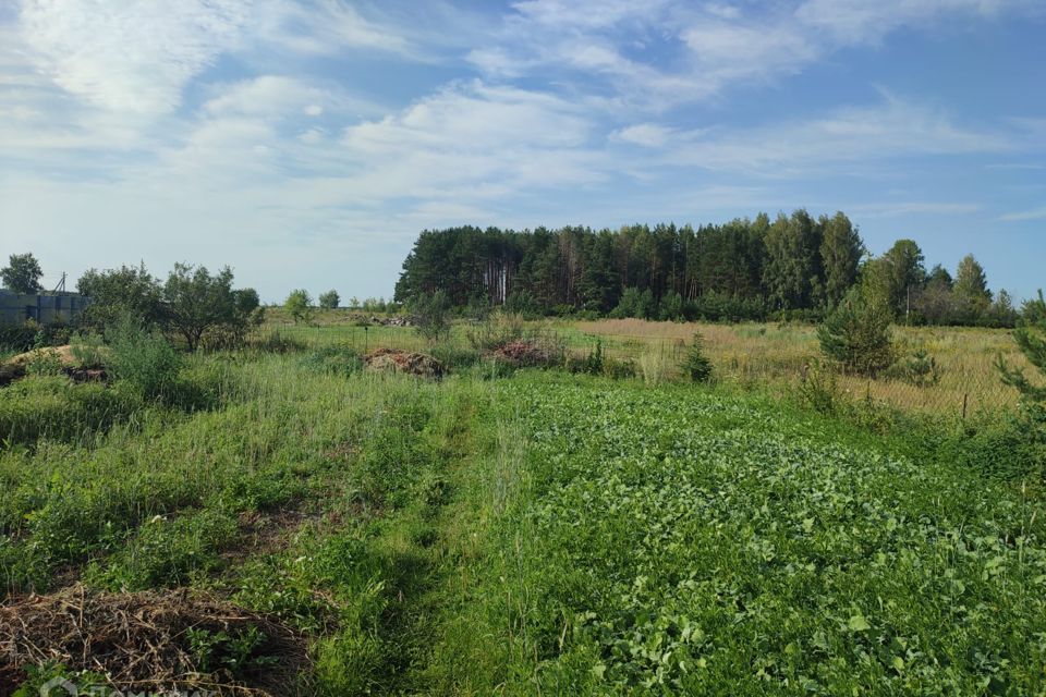 земля р-н Муромский д Александровка ул Комсомольская фото 4