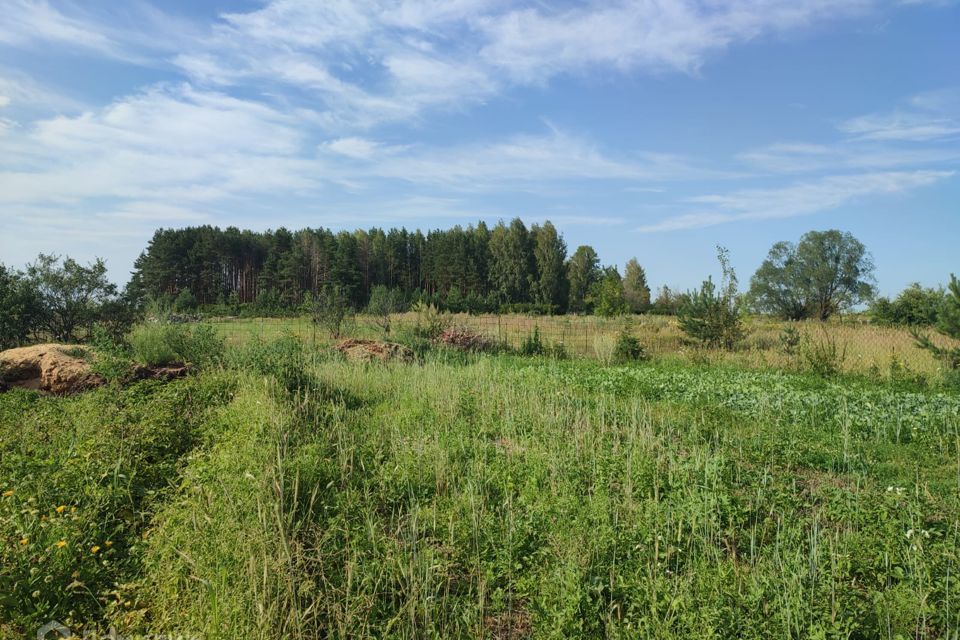 земля р-н Муромский д Александровка ул Комсомольская фото 5