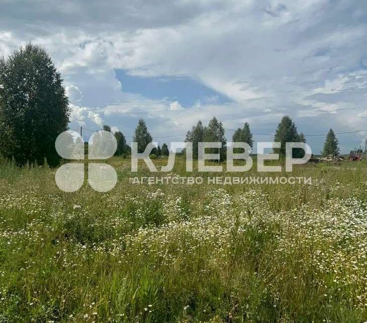 земля р-н Чернушинский г Чернушка ул Пермдорстрой фото 10