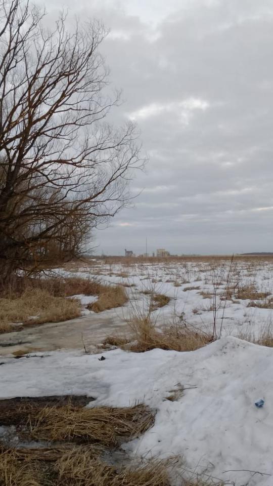 земля городской округ Коломенский д Андреевка фото 1