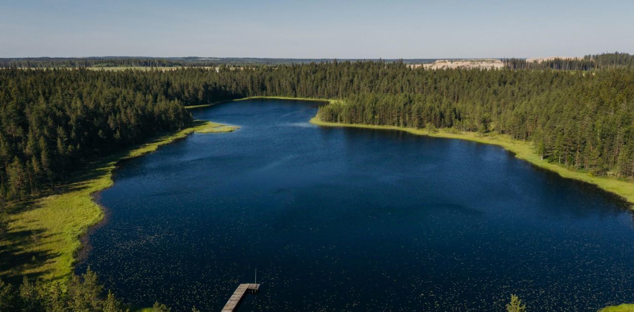 земля р-н Выборгский п Первомайское пос, Сабур-3 СНТ, 24 фото 18