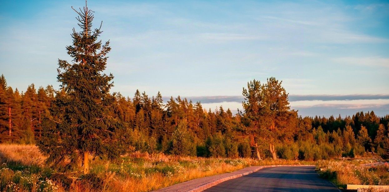 земля р-н Выборгский п Первомайское пос, Сабур-3 СНТ, 24 фото 43