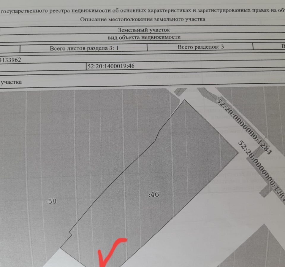 земля р-н Большемурашкинский д Синцово Бор фото 4