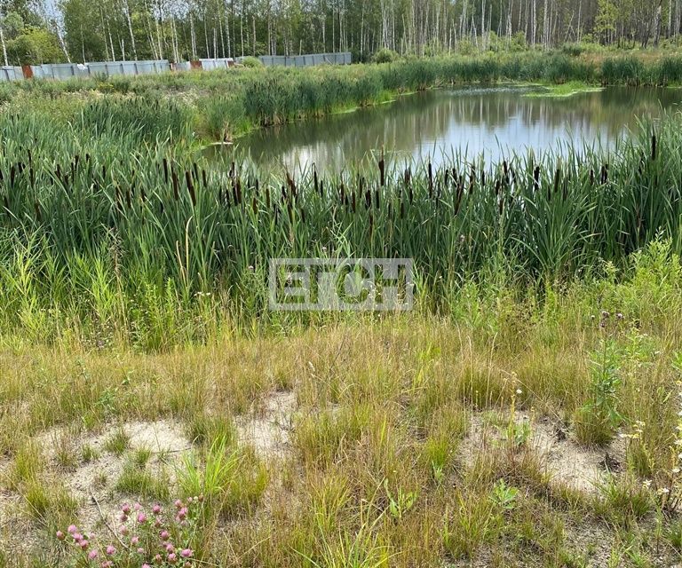 земля городской округ Богородский фото 2