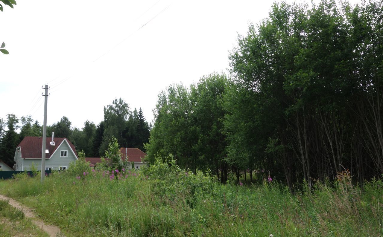 земля городской округ Волоколамский д Новопавловское ул Луговая Сычево фото 2