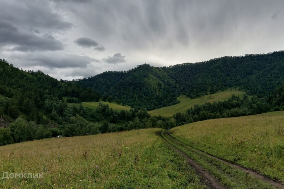 земля р-н Чемальский фото 3