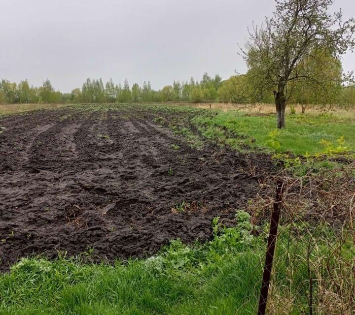 дом р-н Лебедянский д Куликовка Первая ул Луговая фото 2