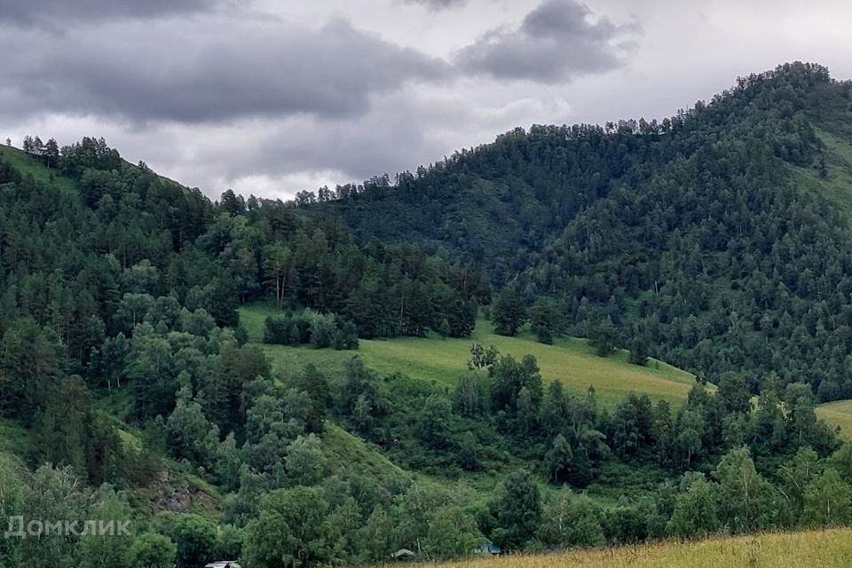 земля р-н Чемальский фото 6