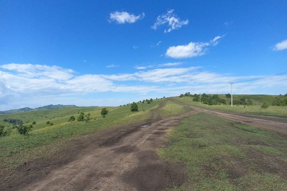 земля р-н Алтайский фото 9