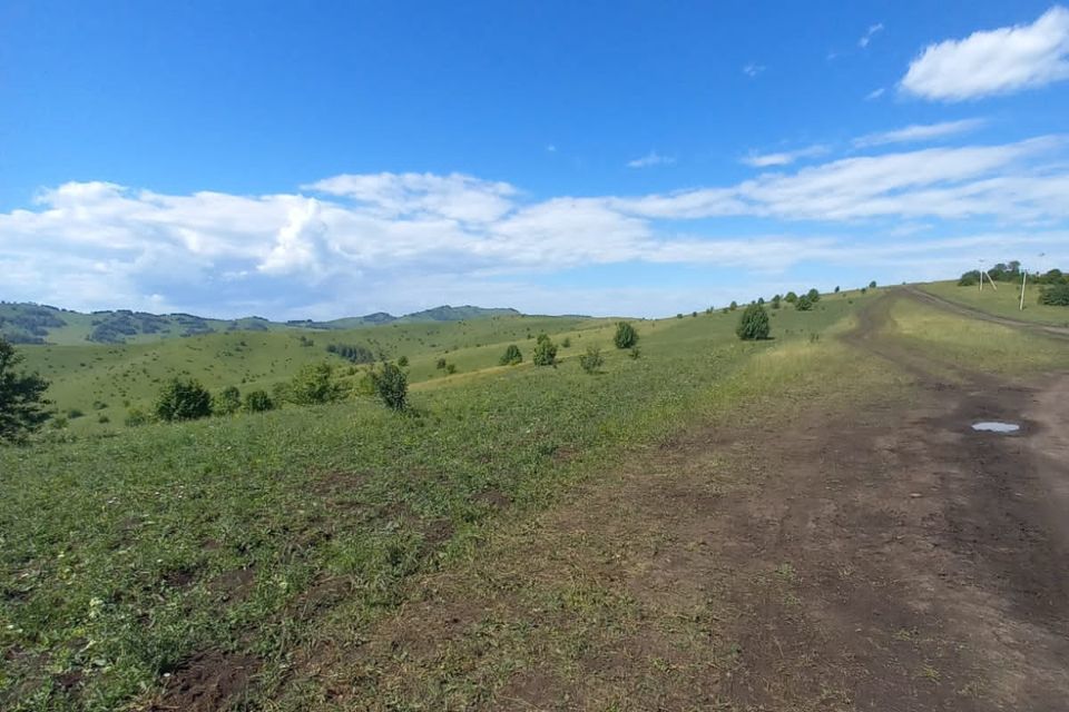 земля р-н Алтайский фото 10