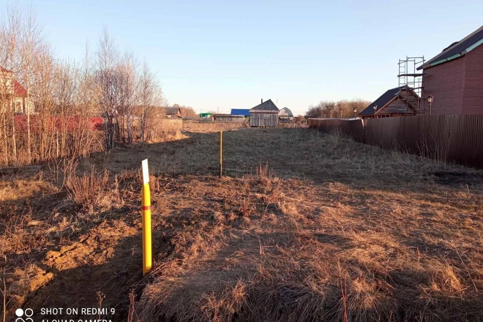 земля р-н Тобольский фото 2