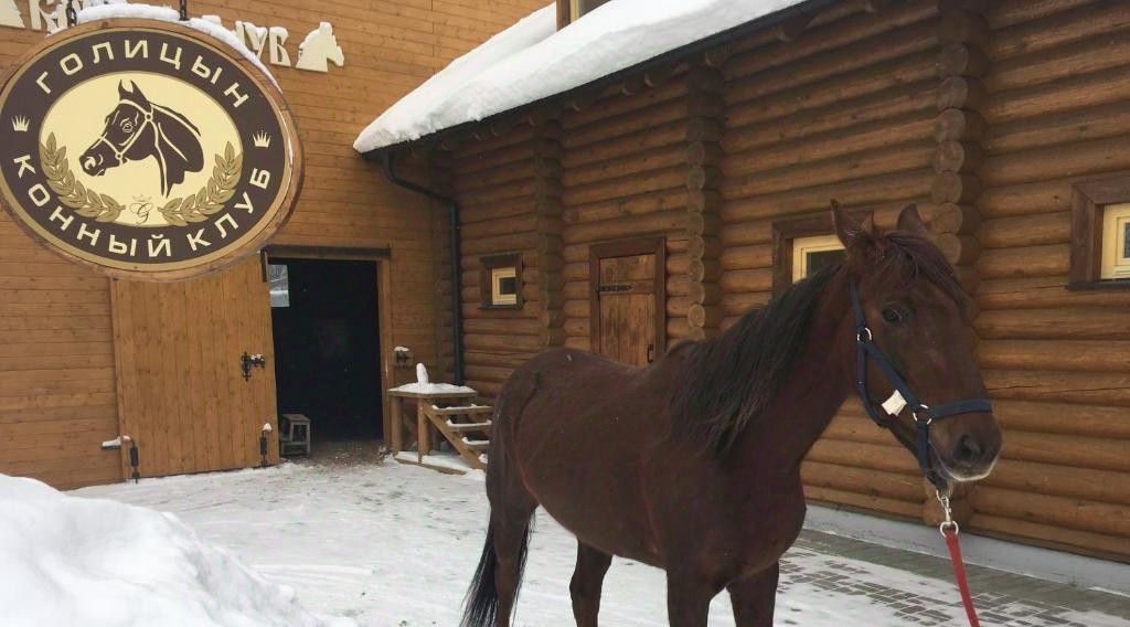 комната городской округ Одинцовский Крёкшино, М-1 Беларусь, 47-й км, 45 фото 46