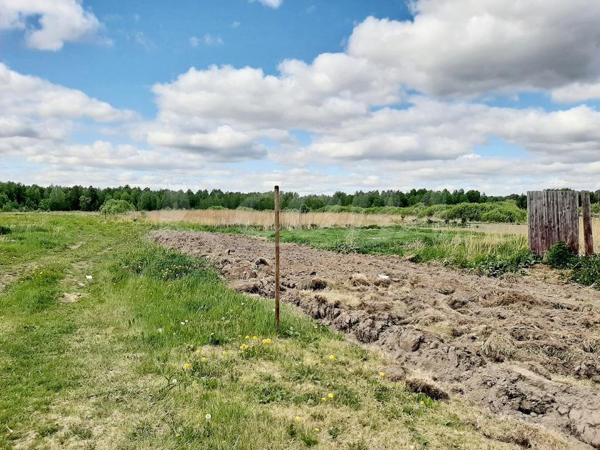 земля р-н Тюменский с Мичурино ул Полевая Полевая, Тюмень фото 4