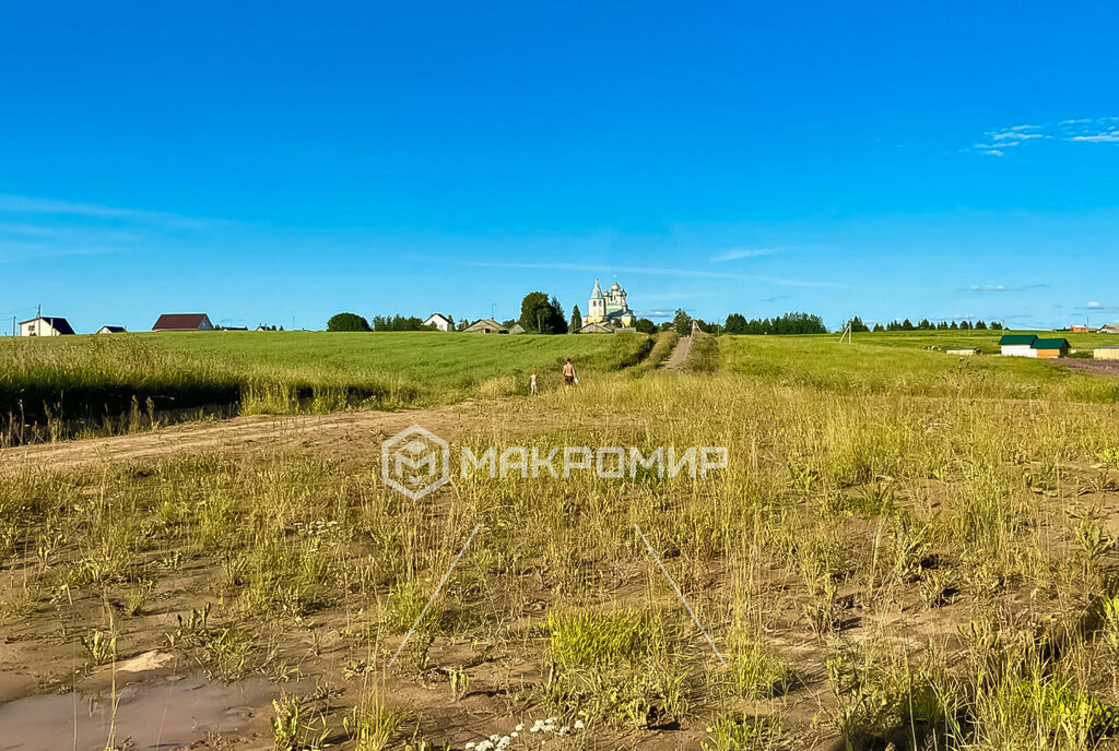 земля р-н Холмогорский д Хетка фото 14