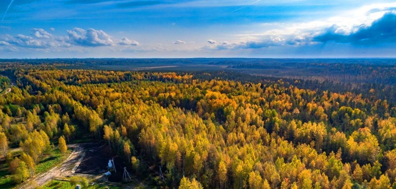 земля городской округ Истра п Глебовский садовое товарищество Осинки, г. о. Истра фото 5