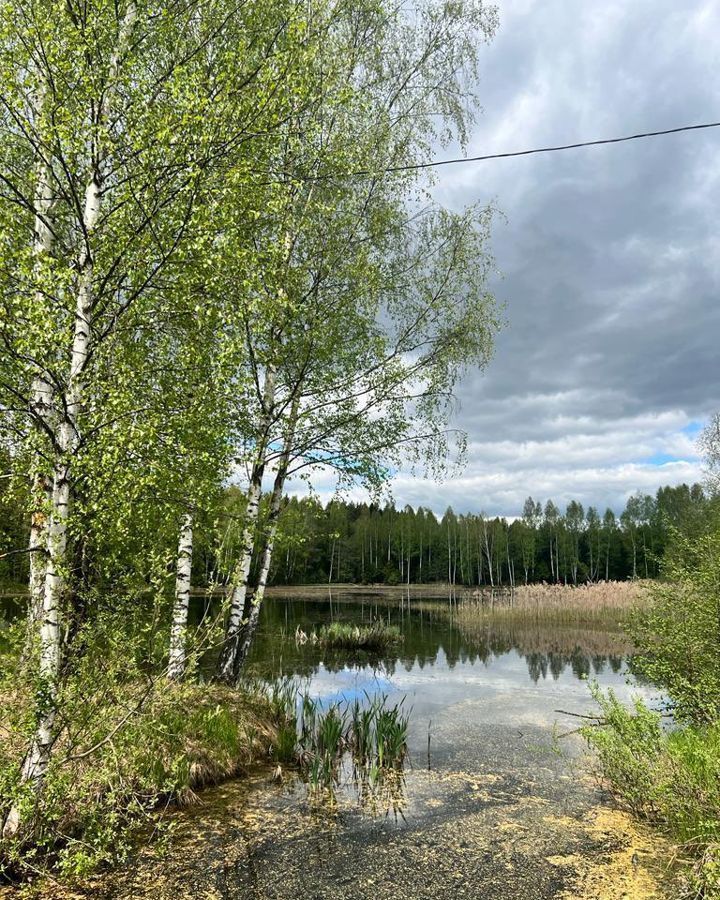 земля городской округ Клин п Ямуга снт Лесная поляна N 7 153, Клин фото 4