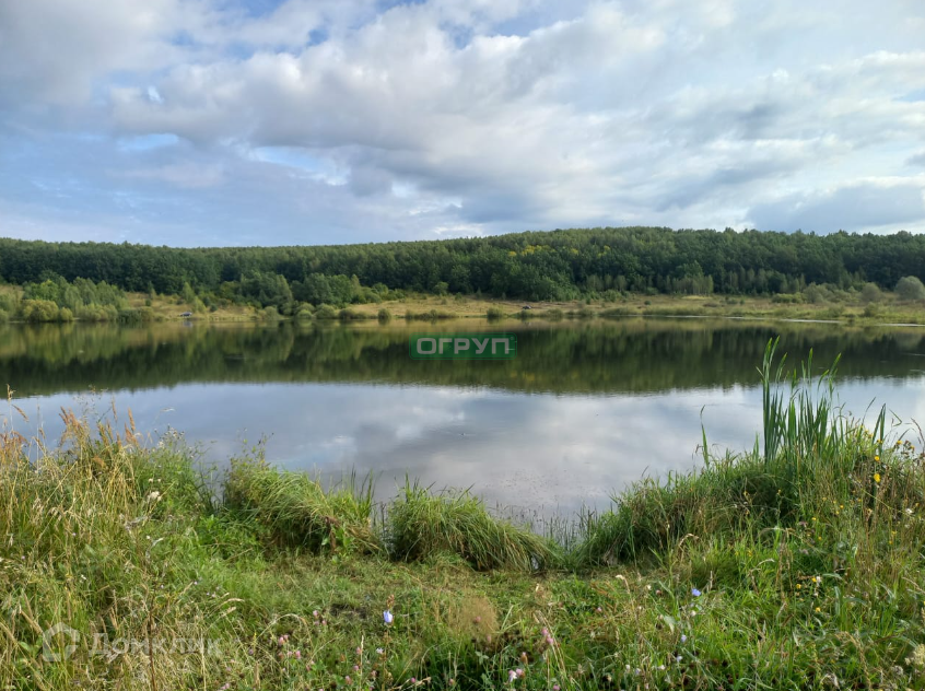 земля р-н Городищенский фото 1