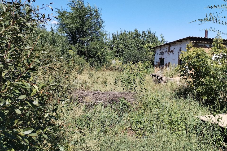 дом р-н Оренбургский с Им 9 Января ул Центральная 19 фото 9