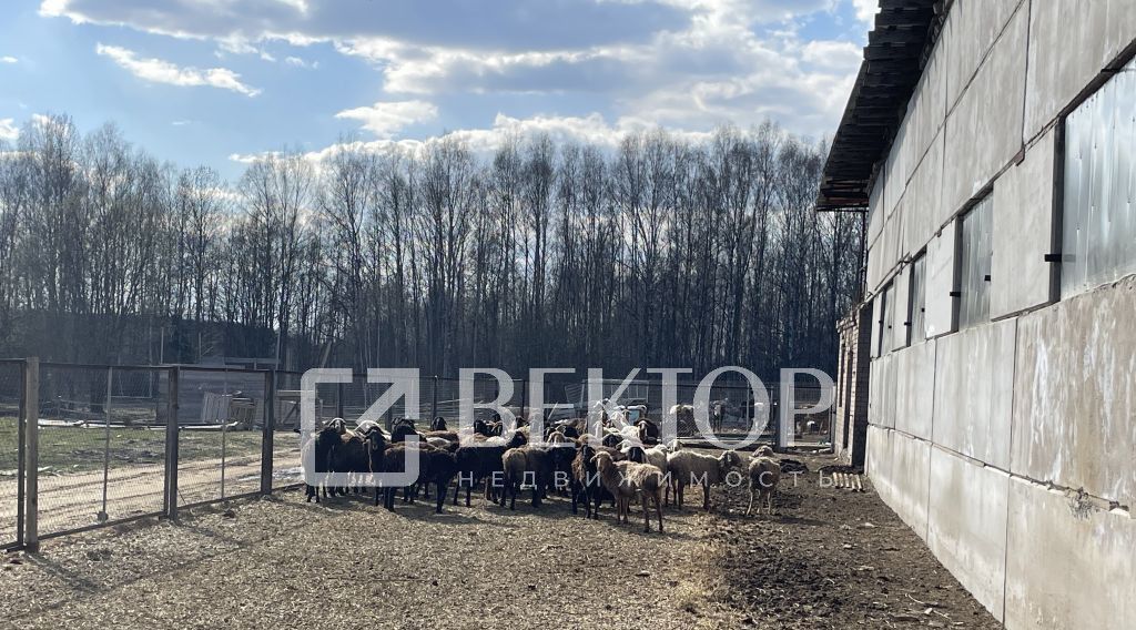 производственные, складские р-н Костромской д Терентьево Бакшеевское с/пос фото 19