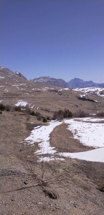земля р-н Алагирский п Верхний Згид Республика Северная Осетия — Алагирский р-н, Алагир фото 2