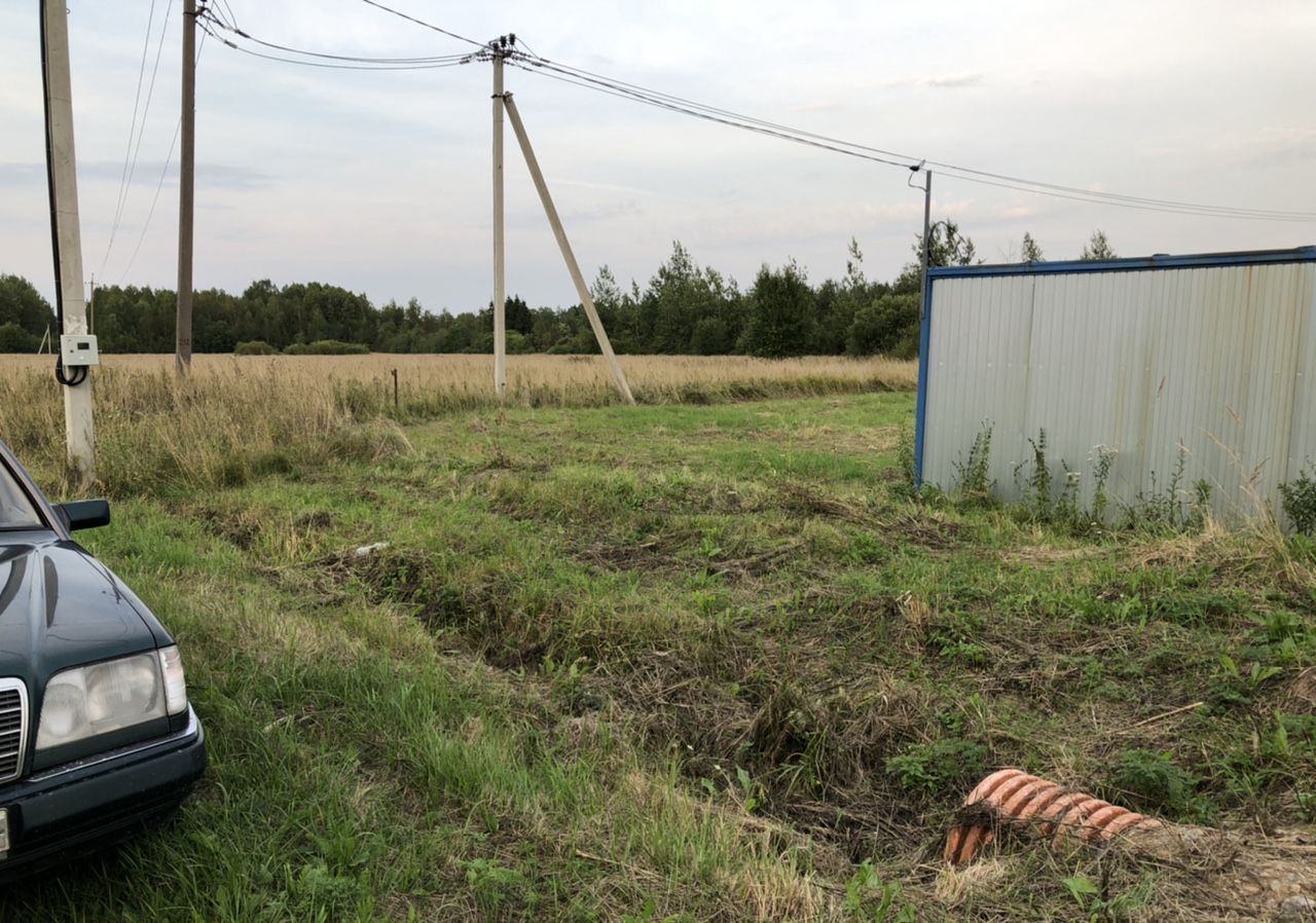 земля р-н Чудовский д Радищево Трегубовское сельское поселение, Чудово фото 5