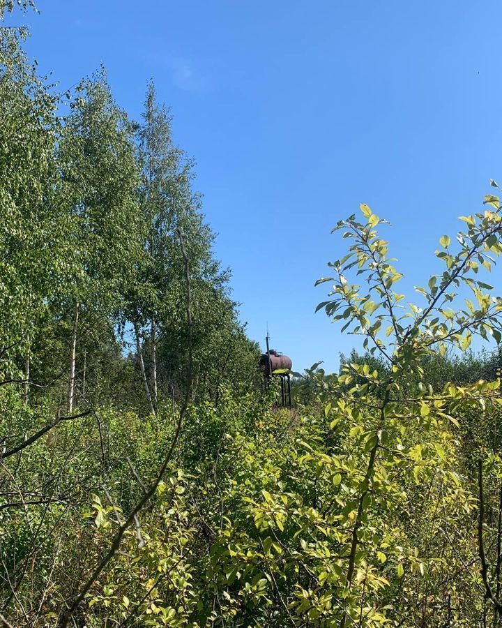 земля р-н Спасский д Пахотино Собчаковское сельское поселение, Спасск-Рязанский фото 10